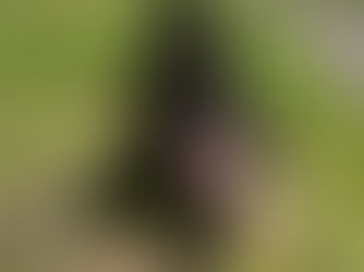自分と向き合う時間