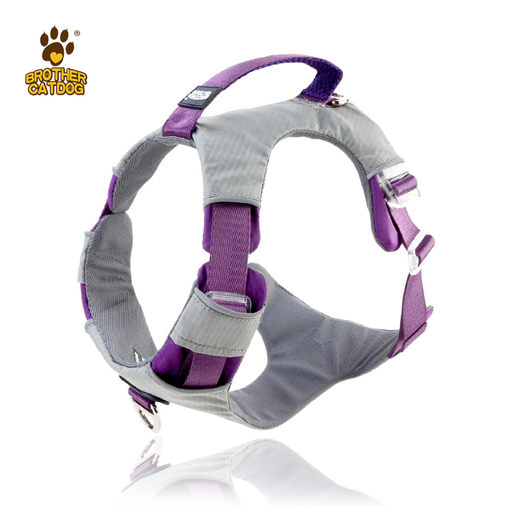 Dog Harness 
