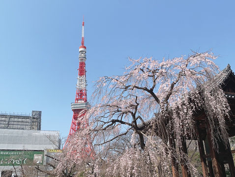 「自主性」と「主体性」