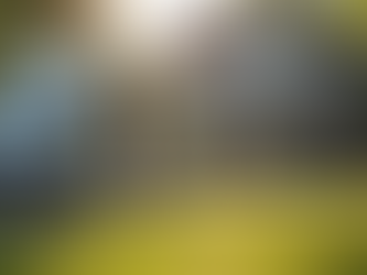 Mobile Grooming Services: Pamper Your Pup in South Carolina