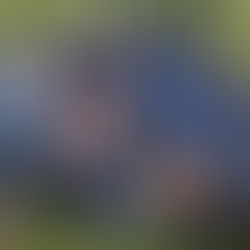 2026 振り返り① 