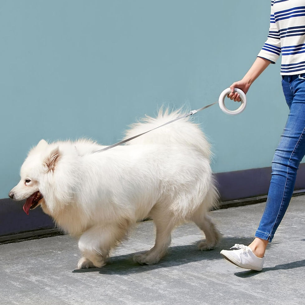 Thumbnail: Xiaomi MOESTAR Retractable Dog Leash Ring 