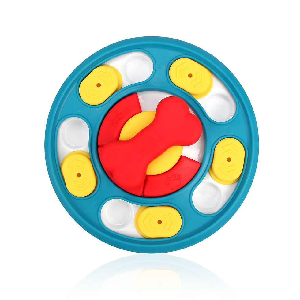 Thumbnail: Rotating Slow Feeding Food Bowl