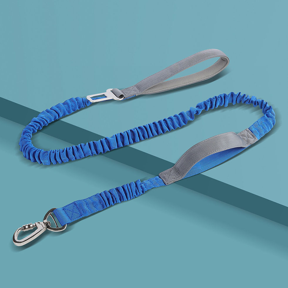 Thumbnail: Reflective Dog Leash