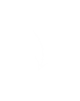 OOTB ARTWORK - TRANSP (2).png
