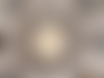 European Concert Tour Summer 2023