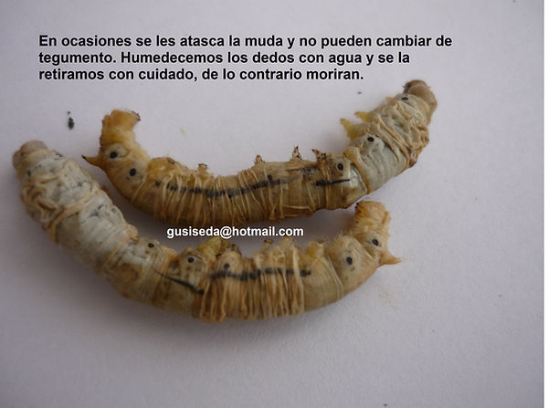 P1050686.JPG