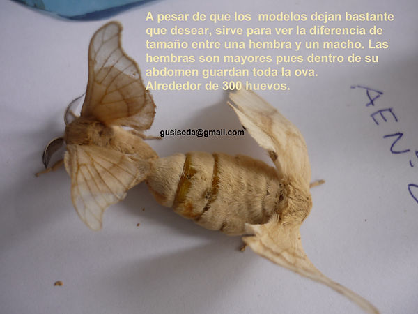 P1050991.JPG