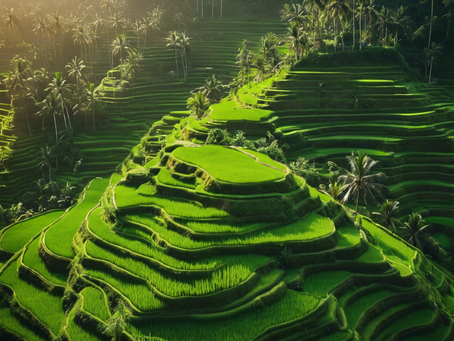 Explore Bali with Anom: Taxi and Tour Packages