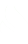 BG line.png