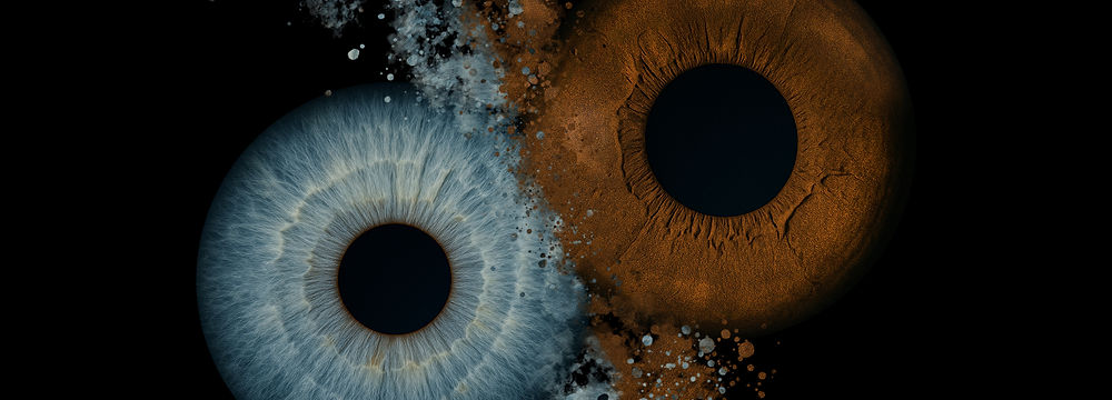 Paar-Iris-Fotografie: blaue und orangefarbene Iris verschmelzen auf schwarzem Grund