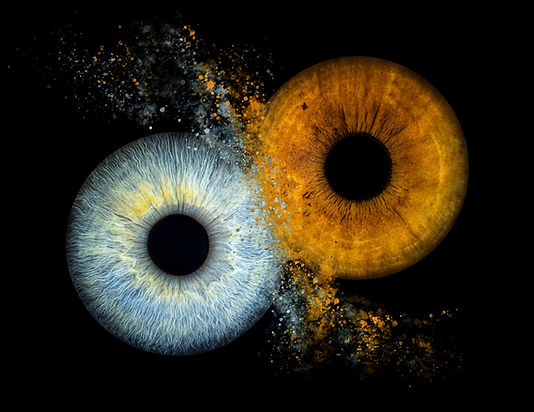 Paar-Iris-Fotografie: blaue und orangefarbene Iris verschmelzen auf schwarzem Grund