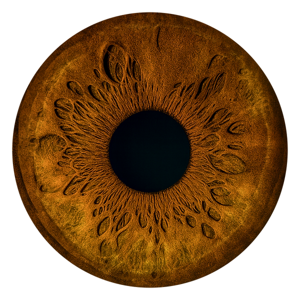 Nahaufnahme einer bernsteinfarbenen Iris auf schwarzem Hintergrund