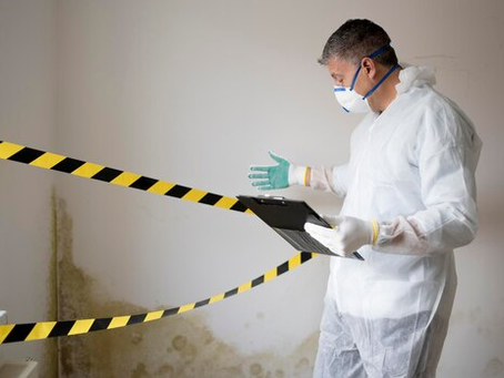 Why Commercial Properties and Vacation Rentals Need Regular Mold Inspections