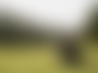 Experience the Power of a Professional golf cart lithium conversion in Madera