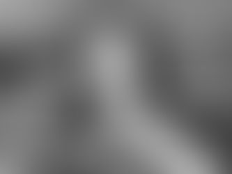 Stanley's World Amateur Adult Penis Humor 