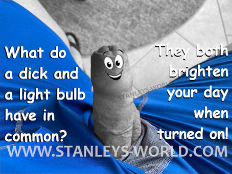 Stanley's World Amateur Adult Penis Humor