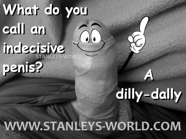 Stanley's World Amateur Adult Penis Humor 