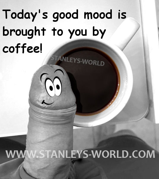 Stanley's World Amateur Adult Penis Humor 