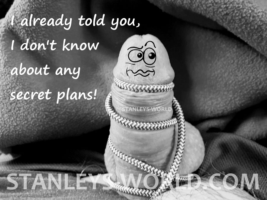 Stanley's World Adult Penis Humor 