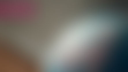 Alain Quemin na FCSH