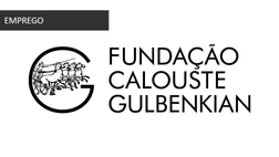 Conservador na área da Antiguidade (Fundação Calouste Gulbenkian)