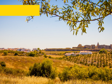 The Best In Europe: Alentejo 2017