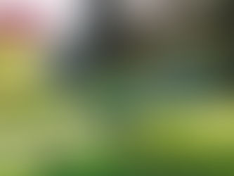 Entrega de prémios Gulbenkian 2019