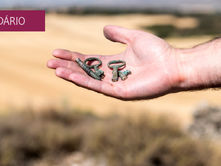 Conferência Internacional "Creative (un)makings: disruptions in art / archaeology"