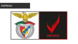 Cultural Resources Manager/Técnico de Museologia no Sport Lisboa e Benfica (M/F)