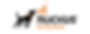 Ruckus Networks