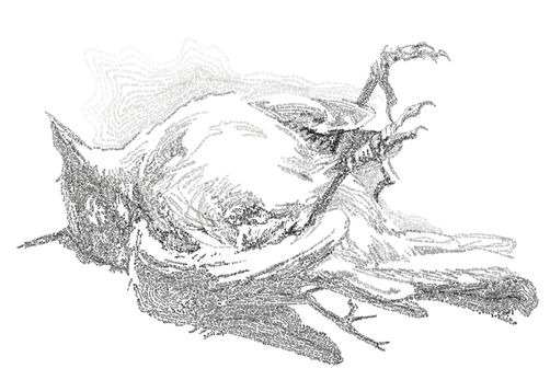 Job14-26.jpg