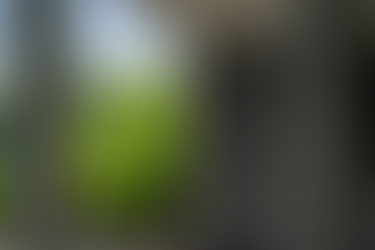 ESSPO Wood presents thermally modified wood products and outdoor furniture solutions