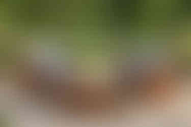 ESSPO Wood presents thermally modified wood products and outdoor furniture solutions