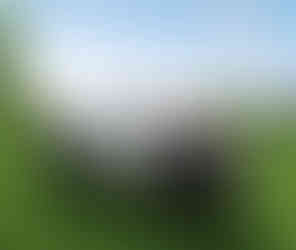 Innovations in your yard, perfect cleanliness at home: TECHZONA.LT Wire-Free robotic mowers and smar