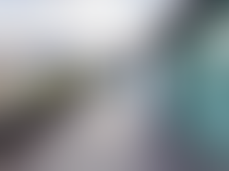 Atraskite termiškai modifikuotos medienos privalumus!