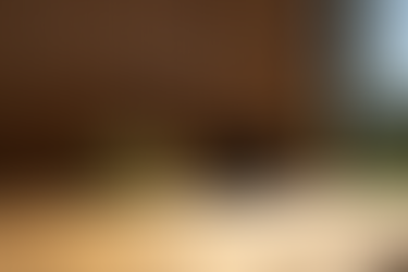 ESSPO Wood presents thermally modified wood products and outdoor furniture solutions