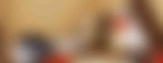 ARCHEDHOUSES - Arkiniai namai