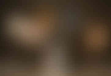 LIETUVIŠKŲ NAMŲ ŠVIESA