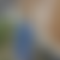 GAMO – naujos kartos technologija, skirta visapusiškam pastatų apšiltinimui