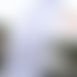 Toyota Professional commercial vehicles for business and a hot new Toyota debut at the TOKVILA stand