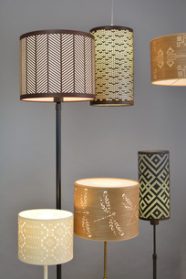 LIETUVIŠKŲ NAMŲ ŠVIESA