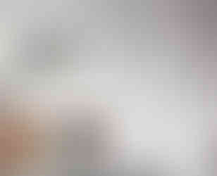 UAB "IDEATHERM" - the future belongs to electric water heaters