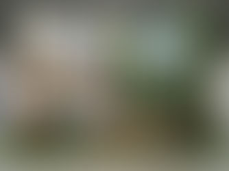 DISKUSIJA. Technologijų inovacija: būtinybė ar konkurencinis pranašumas? 