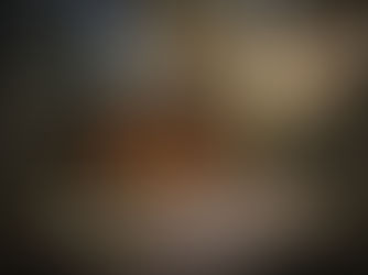 Kviečiame į tris MEDINIŲ NAMŲ GAMINTOJŲ ASOCIACIJOS pranešimus!