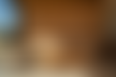 ESSPO Wood presents thermally modified wood products and outdoor furniture solutions