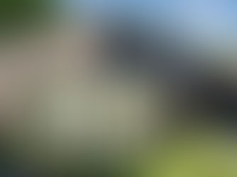 IMPORTEX – patikimas statybinių ir apdailos medžiagų partneris Lenkijoje nuo 1991 m.