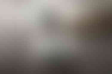 Innovations in your yard, perfect cleanliness at home: TECHZONA.LT Wire-Free robotic mowers and smar