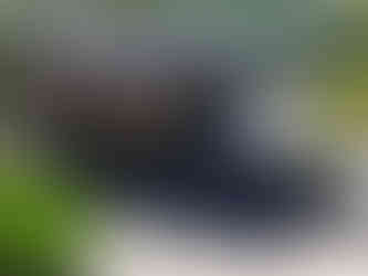 EPDM roofing - the most environmentally friendly choice for flat roofs