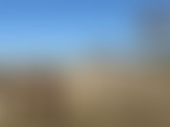 Gyvas susitikimas su alpakomis Resta parodoje